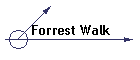 Forrest Walk